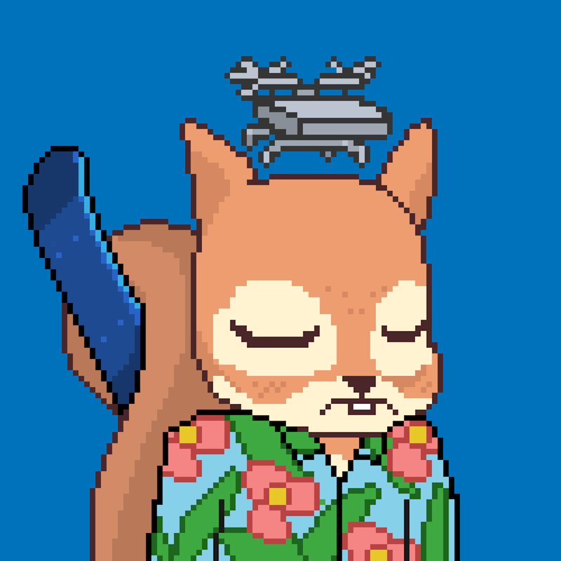 Pixel Squirrels #9128